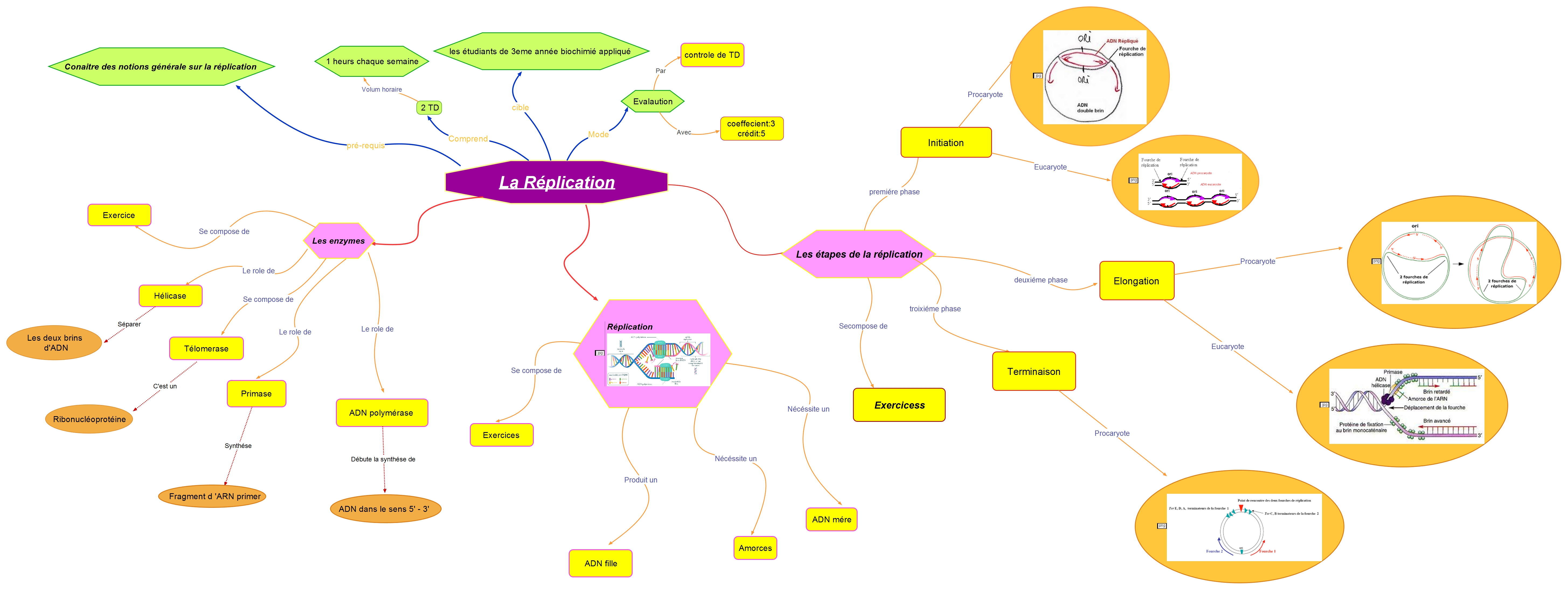 Cours Biologie Mol Culaire Test Semaine Chapitre